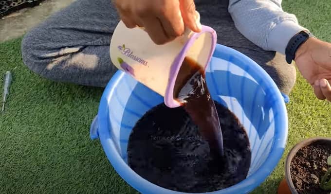 खाद व उर्वरक - Manure And Fertilizers For Growing Sambar Cucumber Plant In Hindi